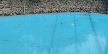 Diduga Limbah Pabrik Cemarkan Air Sungai di Porong, Aktivis Lingkungan Kecam Pemerintah
