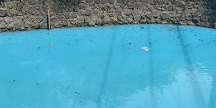 Diduga Limbah Pabrik Cemarkan Air Sungai di Porong, Aktivis Lingkungan Kecam Pemerintah