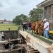 Rumah Pompa Kedungpeluk Dikebut, Bupati Sidoarjo Targetkan Rampung Pertengahan Februari